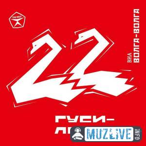 ВИА «Волга-Волга» - Гуси-лебеди MP3 2020