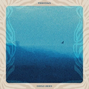 Could Seed - Terminal (MP3)