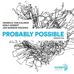 Heinrich Von Kalnein, Kenji Herbert, Jan Samson Krizanic-Nessmann - Probably Possible