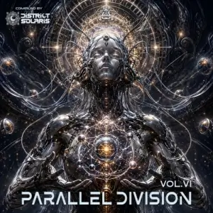 Parallel Division Vol. 6