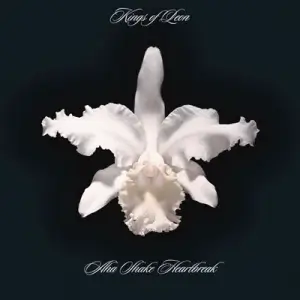 Kings Of Leon - Aha Shake Heartbreak Kings Of Leon - Aha Shake Heartbreak