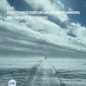 T.I.M - Tall, Infinite, Microscopic